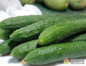 长春网红刘祉辰吃瓜,吃瓜成瘾,揭秘娱乐圈幕后风云 第3张 长春网红刘祉辰吃瓜,吃瓜成瘾,揭秘娱乐圈幕后风云 第3张